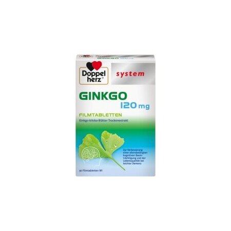 Ginkgo 120 mg 30 Tbl. PZN: 10963231