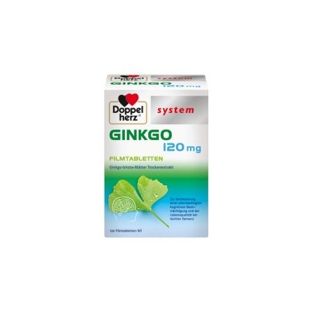 Ginkgo 120 mg 120 Tbl.  PZN: 10963248
